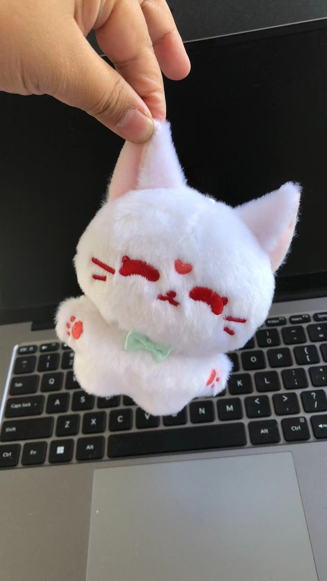 Pre-sale SVSSS 10cm Plush Doll