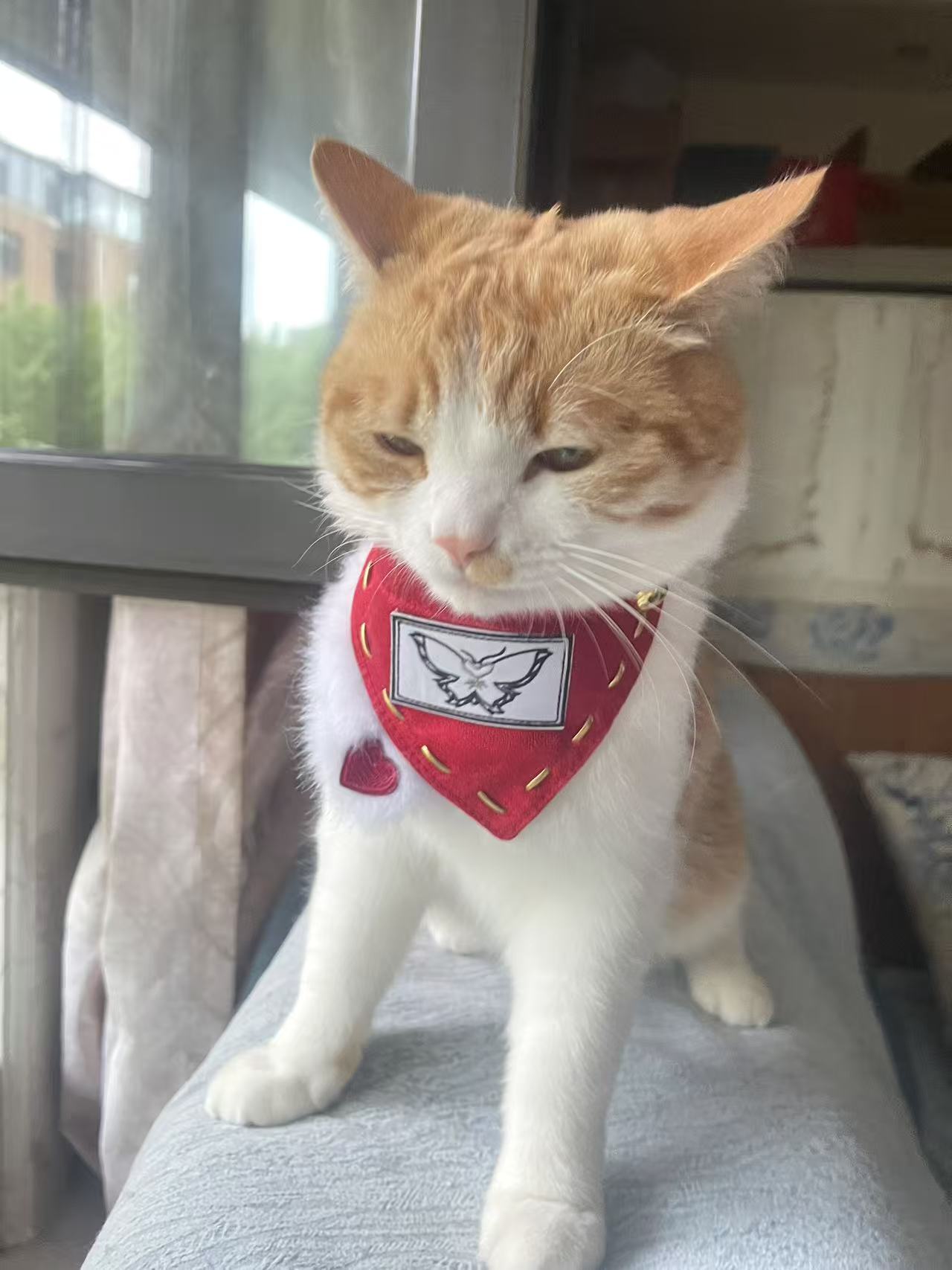 Hand-stitched HH Val's pet scarf (It can also be used on cotton dolls)
