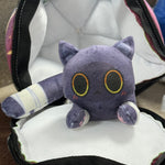 A Singaporean girl's cat and bag