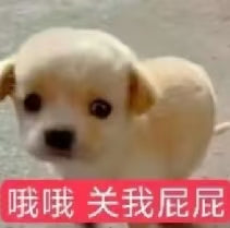 小屁