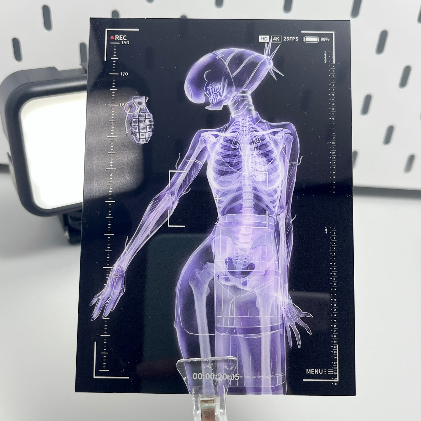 [Pre-order] Chainsaw Man X-ray series fan-made merchandise