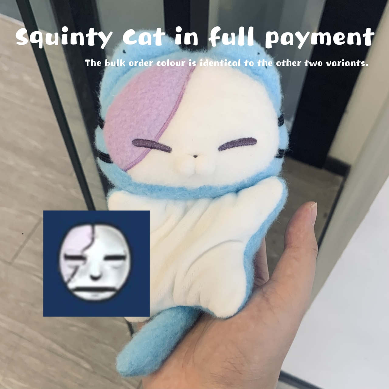 [Pre-order] Sal 15cm bean bag cotton kitten