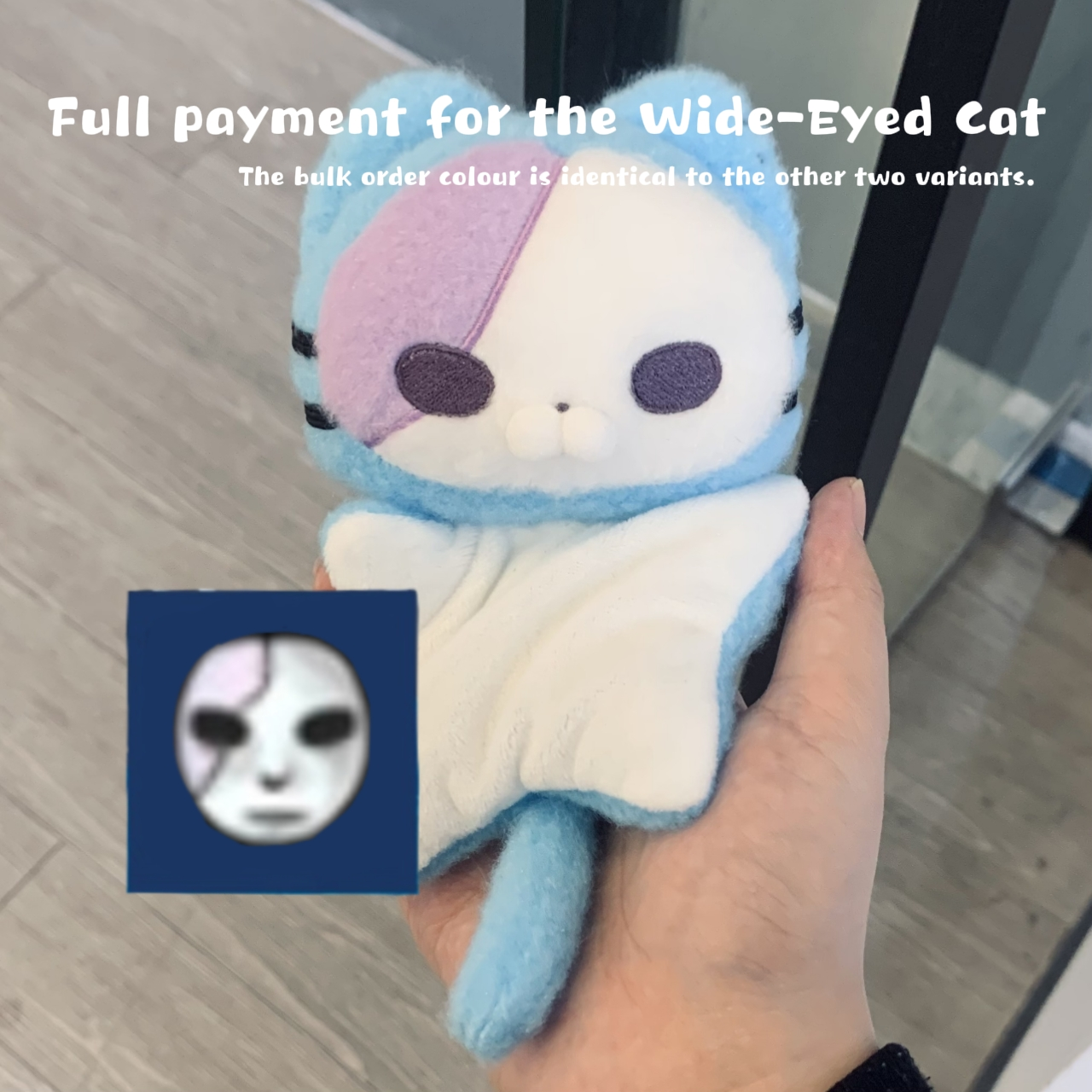 [Pre-order] Sal 15cm bean bag cotton kitten