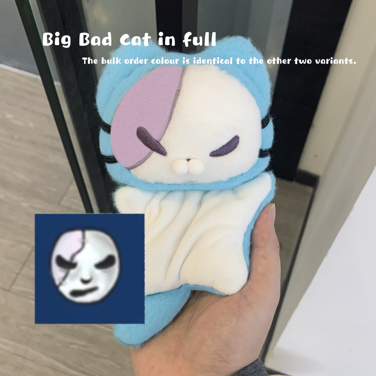 [Pre-order] Sal 15cm bean bag cotton kitten