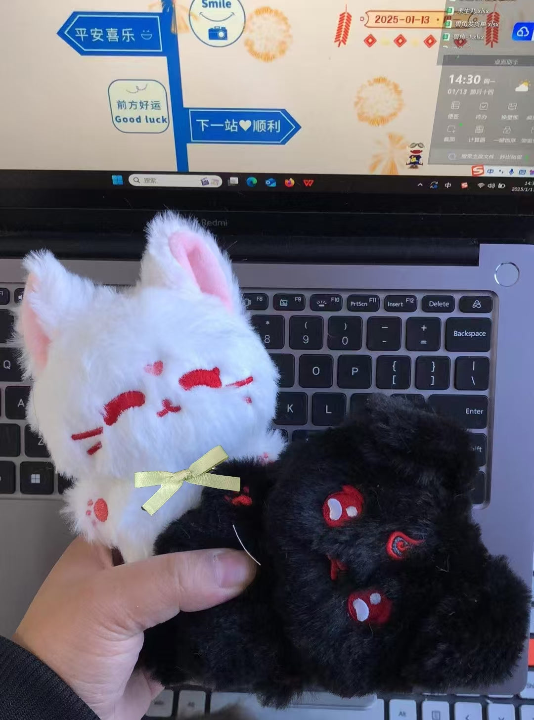 Pre-sale SVSSS 10cm Plush Doll