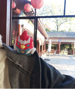 [Pre-sale]BirdMa （name by-OneoneByone）