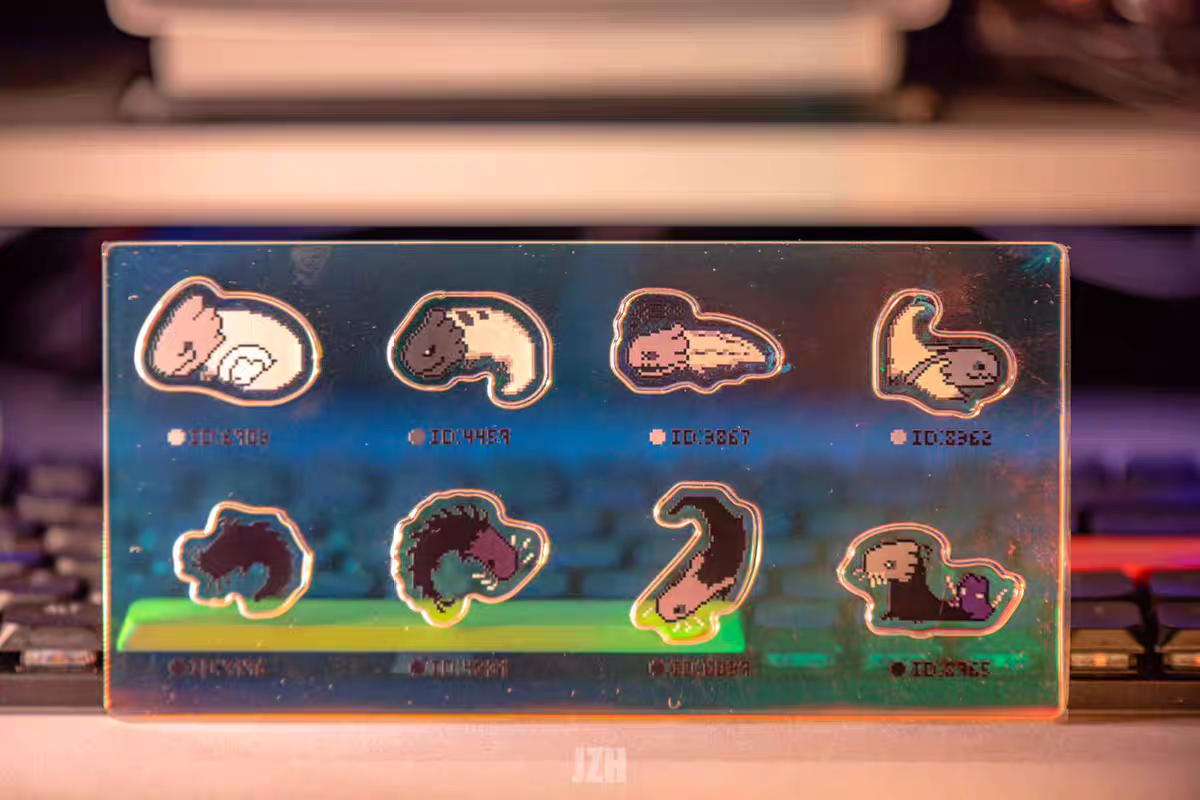 [Pre-order] Rainworld Creatures Neon jigsaw Board (with ID#)