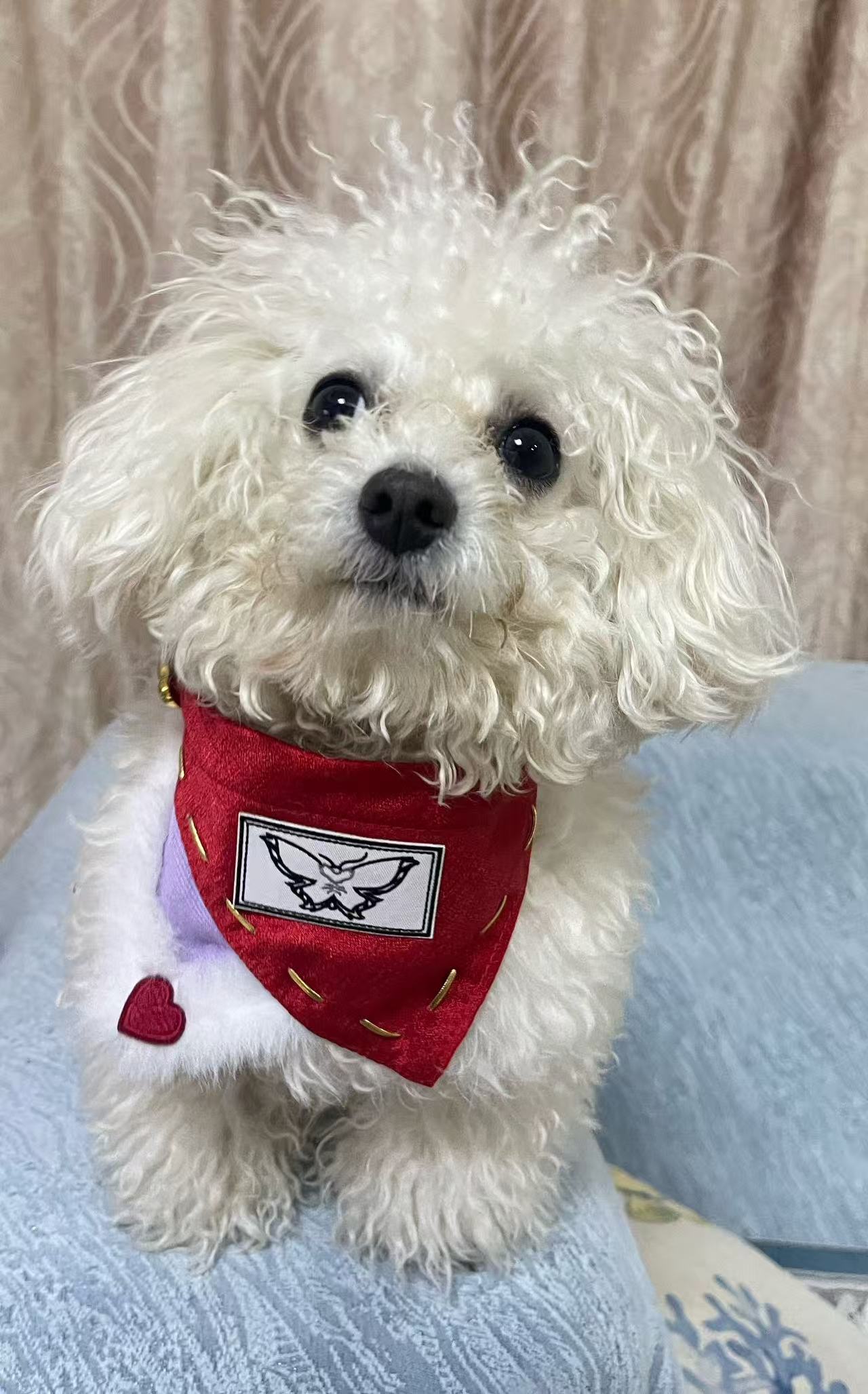Hand-stitched HH Val's pet scarf (It can also be used on cotton dolls)