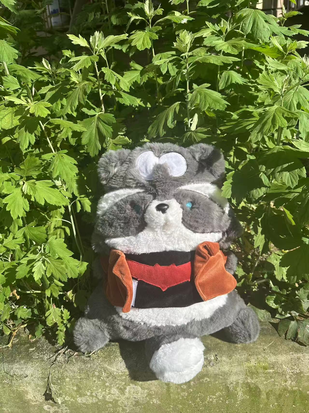 Raccoon Jason Backpack