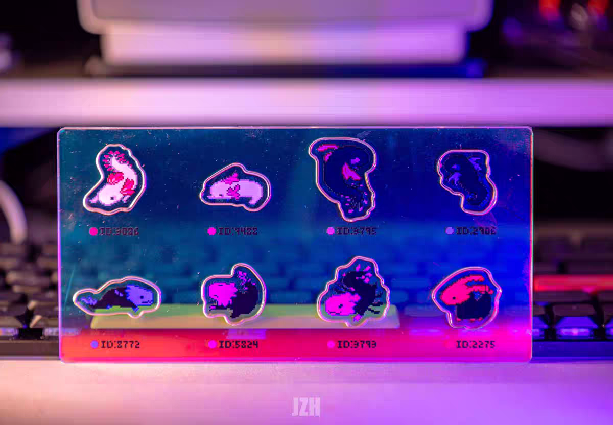 [Pre-order] Rainworld Creatures Neon jigsaw Board (with ID#)