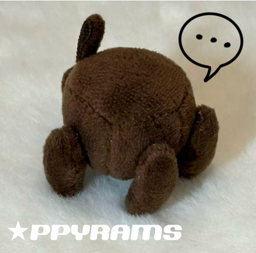 [Pre-order] Rocky and Grace Magnet 12cm plush