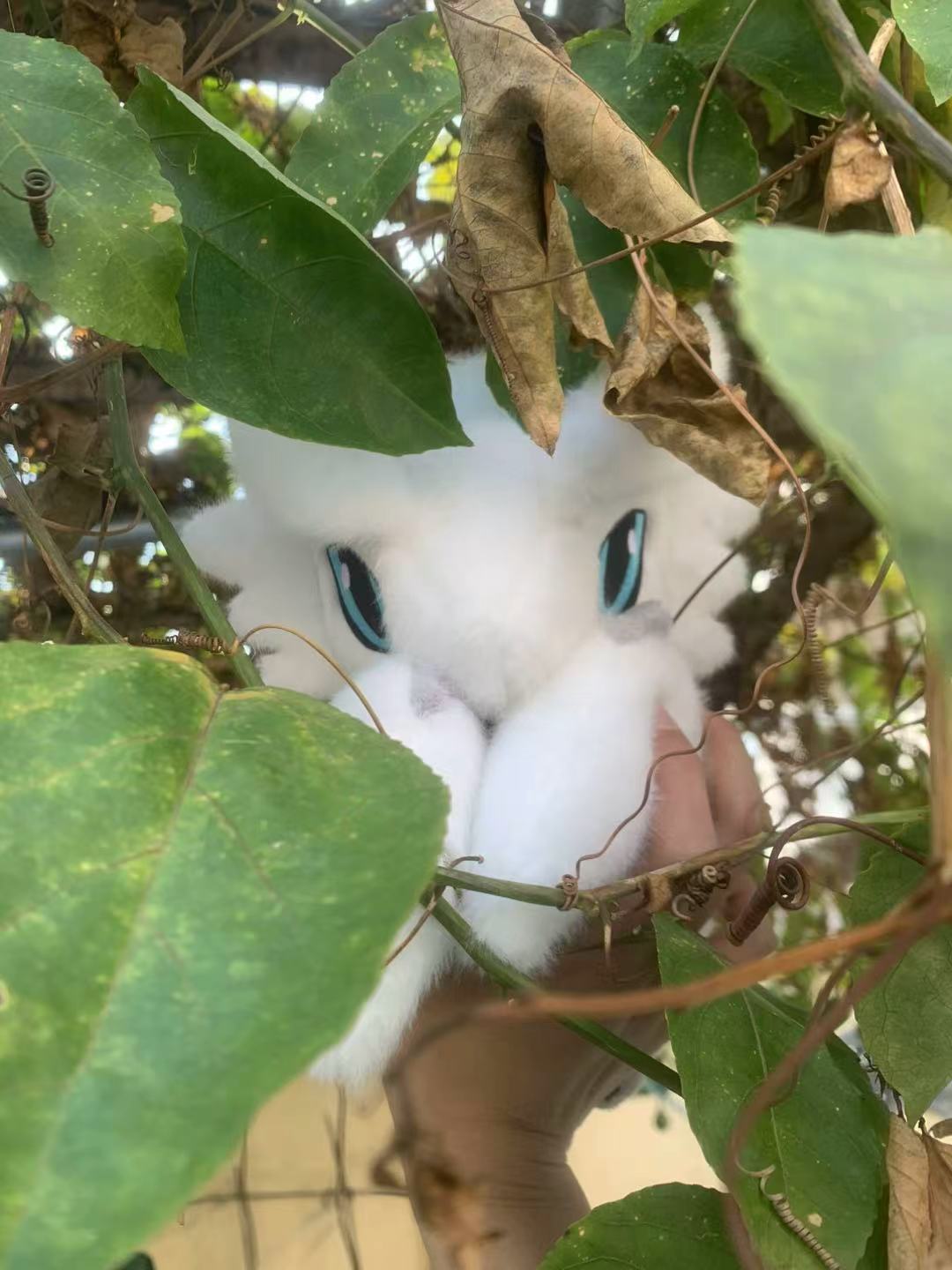 [Pre-Order]Furious Reshiram