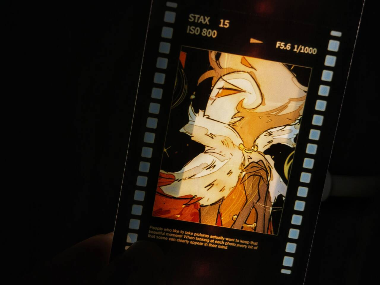 [In-stock]cards and film