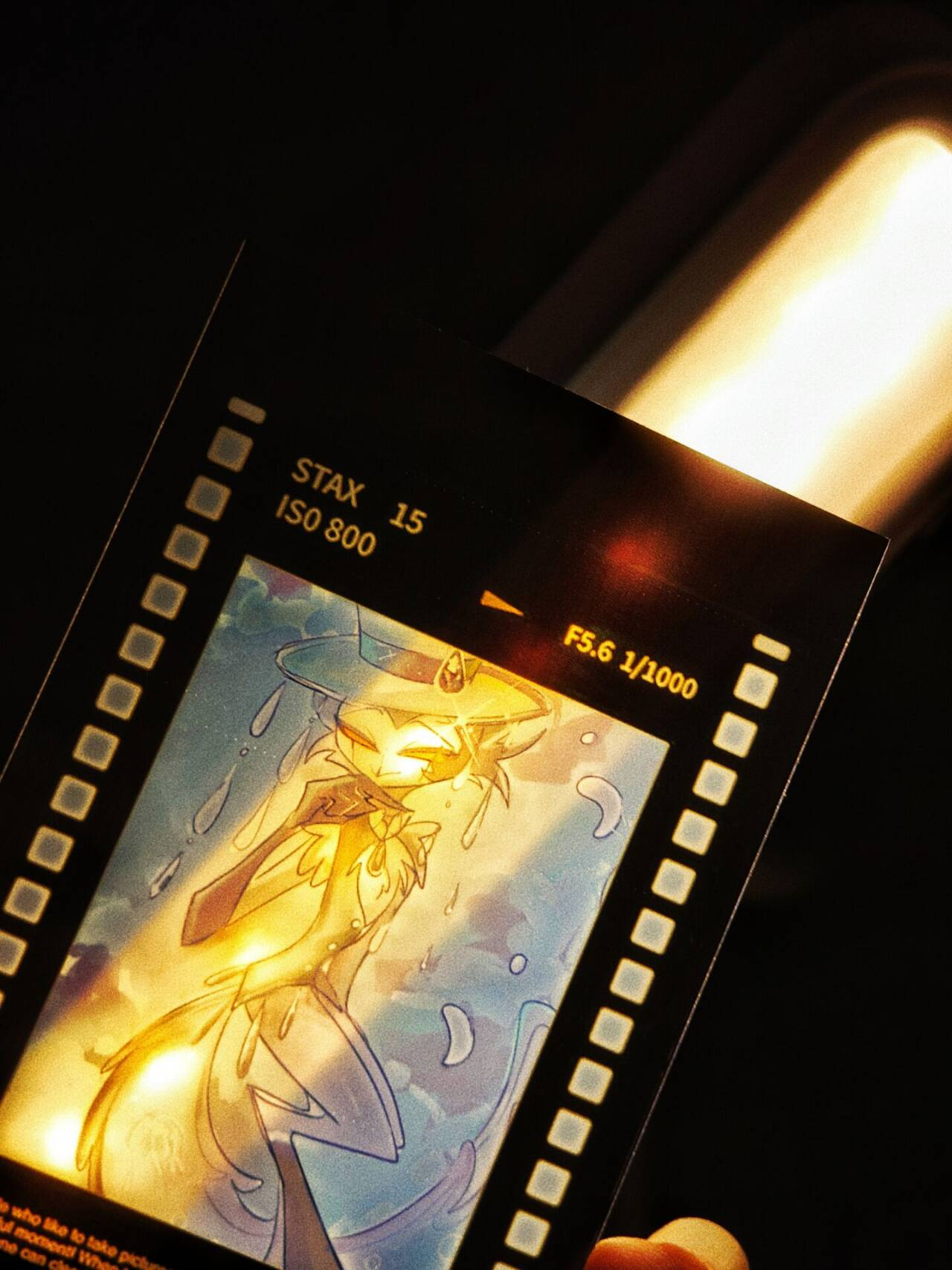 [In-stock]cards and film