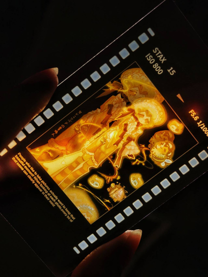 [In-stock]cards and film