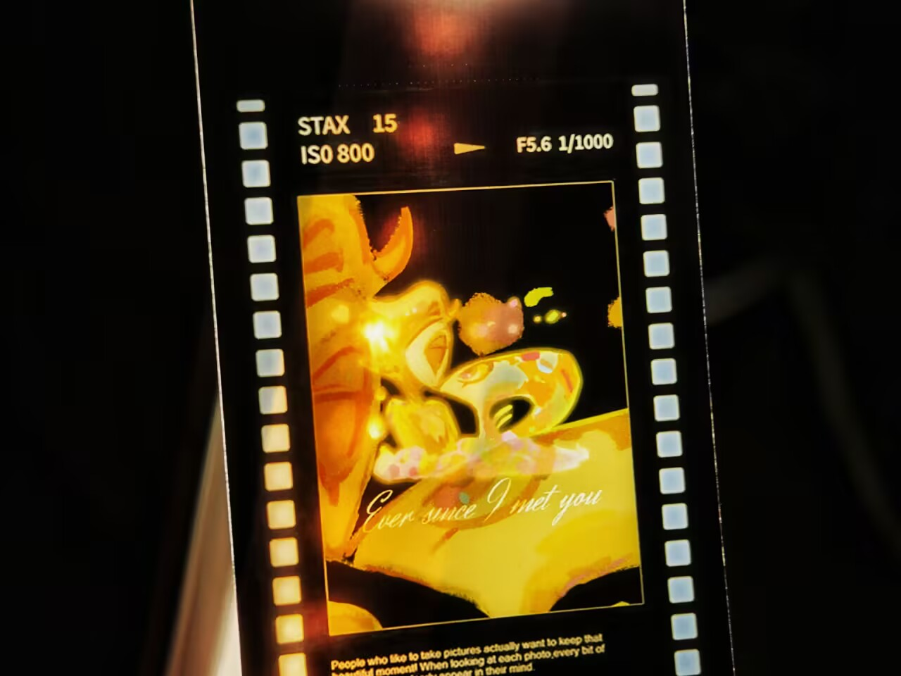 [In-stock]cards and film